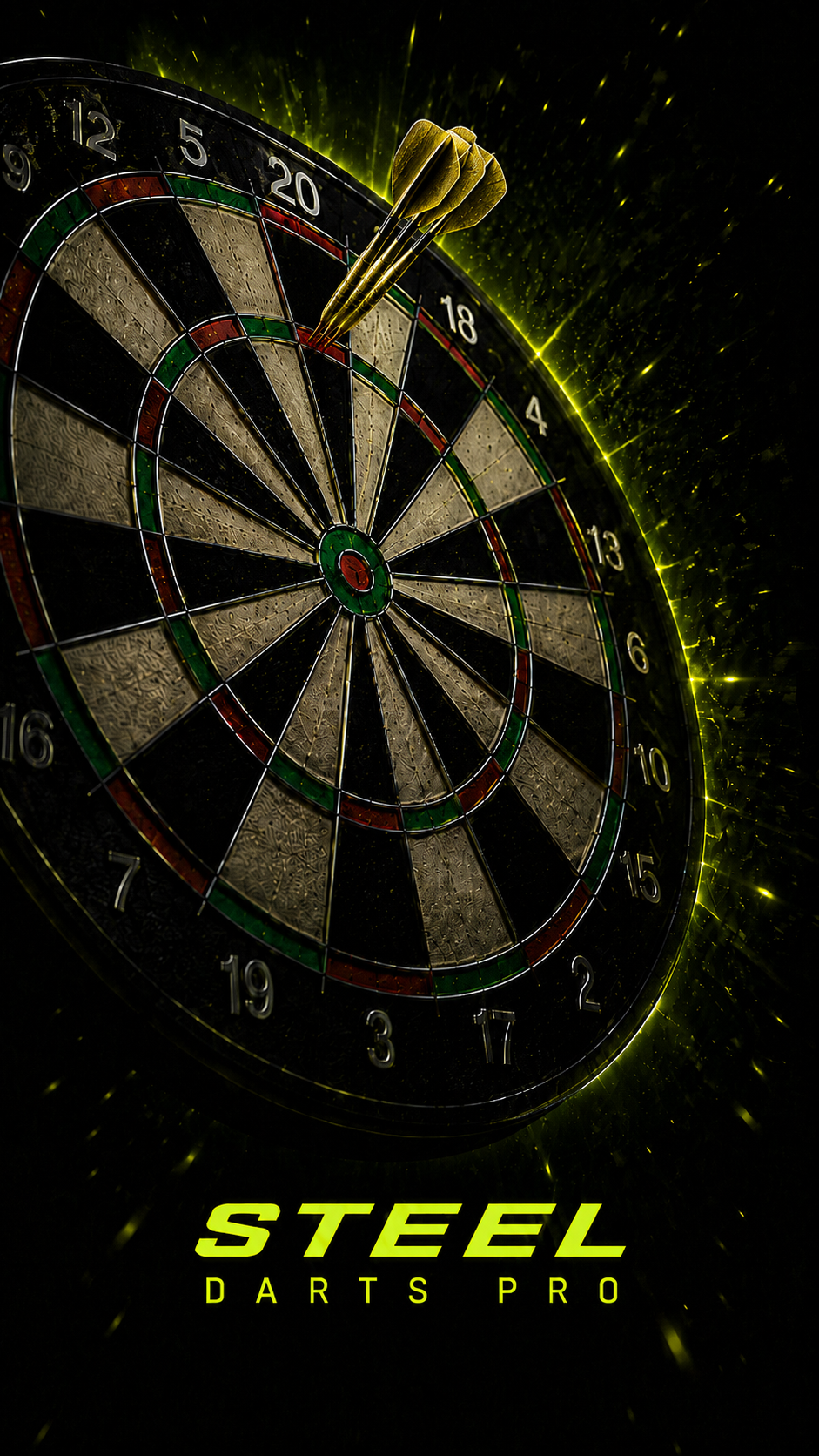 STEEL DARTS PRO
